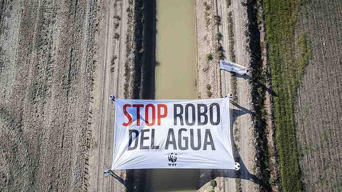 WWF afirma que Doñana es uno de los cuatro puntos negros de robo de agua para la agricultura en España.