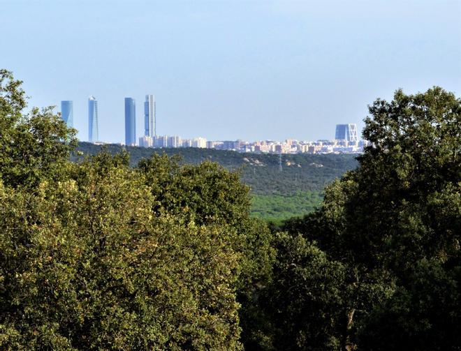 Monte de El Pardo, Madrid, turismo sostenible, bosque urbano