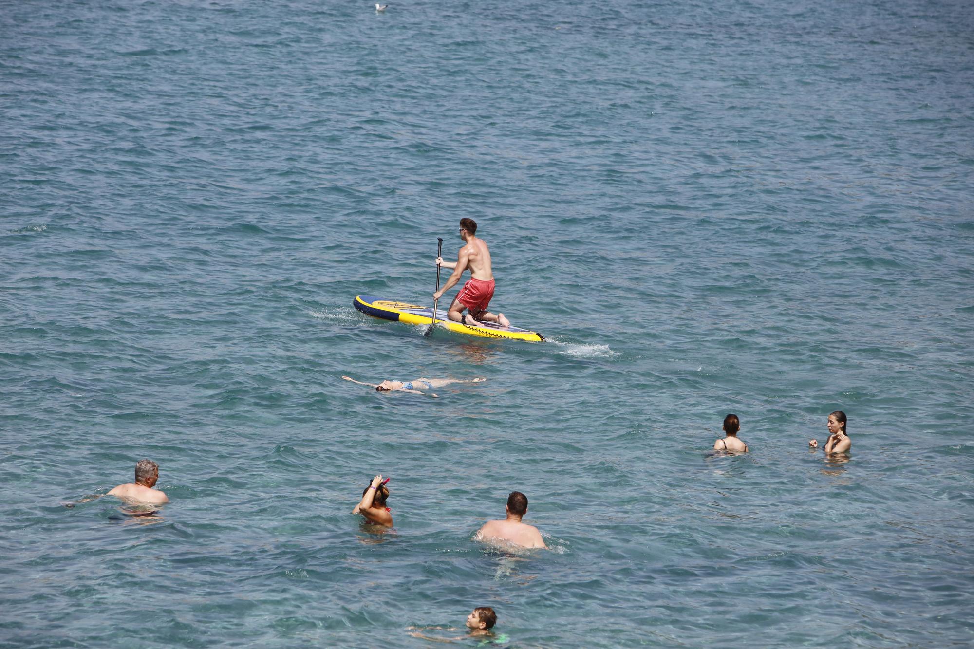 Sommer in Peguera: So genießen die Mallorca-Urlauber das Leben am beliebten Badestrand
