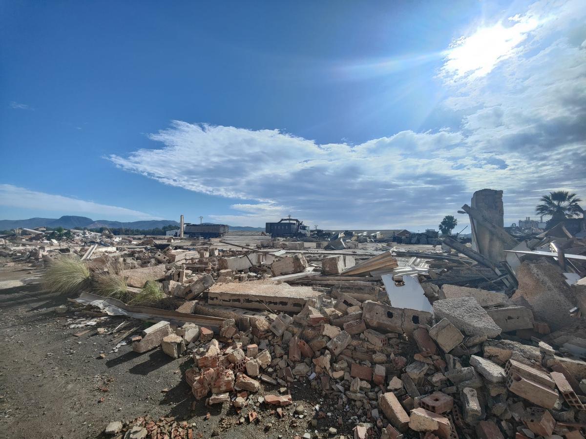 Las fábricas en ruinas que se encuentran se suman a la tendencia de crear espacios de expansión, junto con los terrenos de las antiguas fábricas Sanchis y Plaza.
