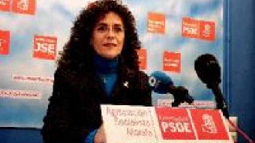 El PSOE acusa a la concejala de Educación morala de plagio