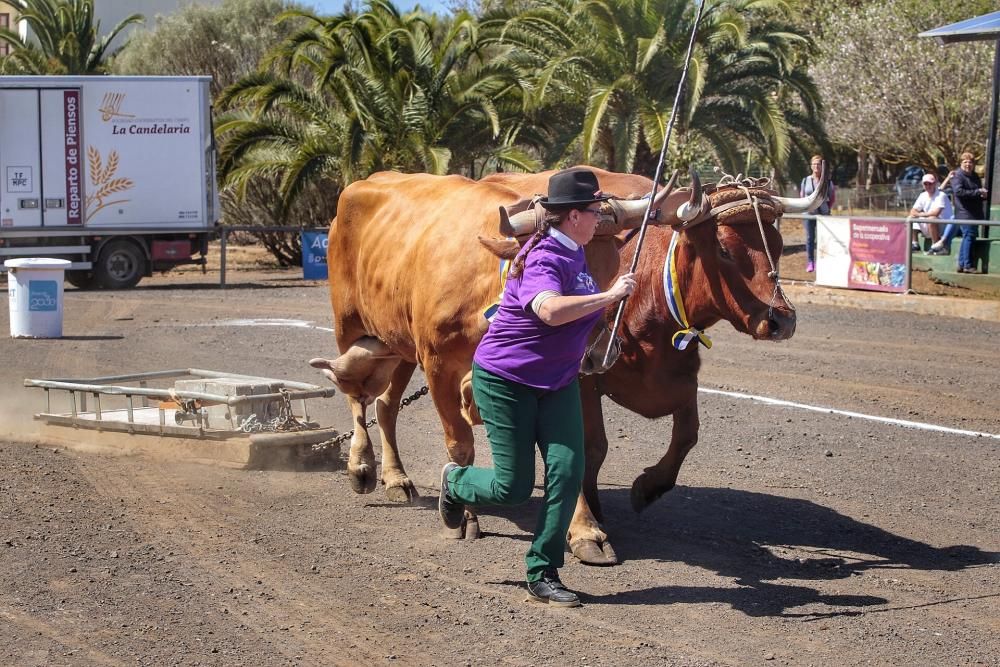 Tributo a la mujer en el deporte autóctono