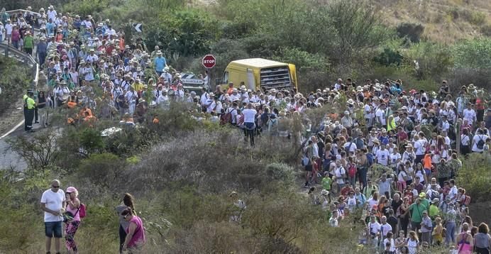 16/09/2017 STA. MARÍA DE GUÍA .Bajada 2017 de La Rama de Las Marías , desde Montaña Alta. FOTO: J.PÉREZ CURBELO