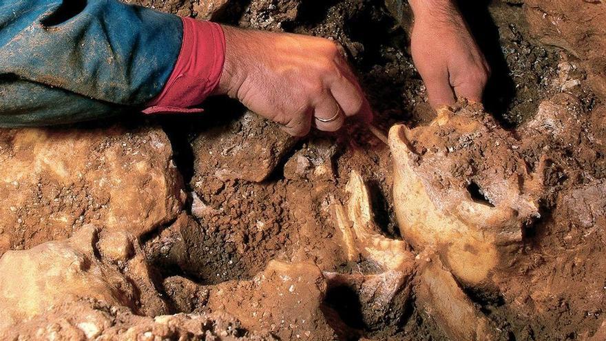 Investigadores españoles hallan evidencias de que los neandertales hablaban