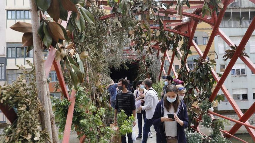Girona busca d’urgència un viver per les flors de Temps de Flors