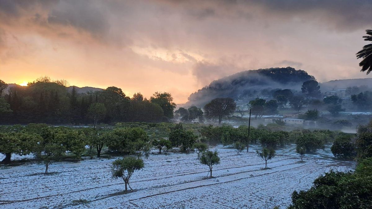 Weiße Landschaft: die Gemeinde Puigpunyent am Mittwochmorgen (16.4.)