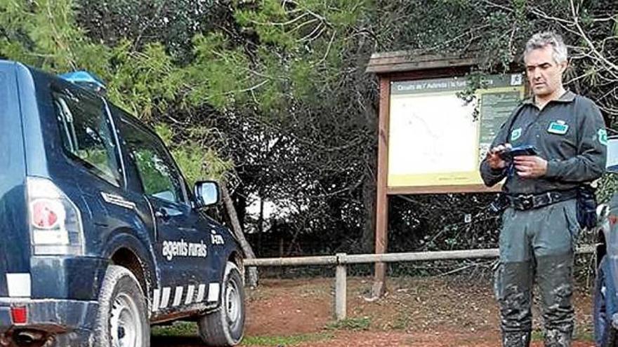 Tortugues rescatades de l&#039;aiguamoll de la Bòbila de Santpedor