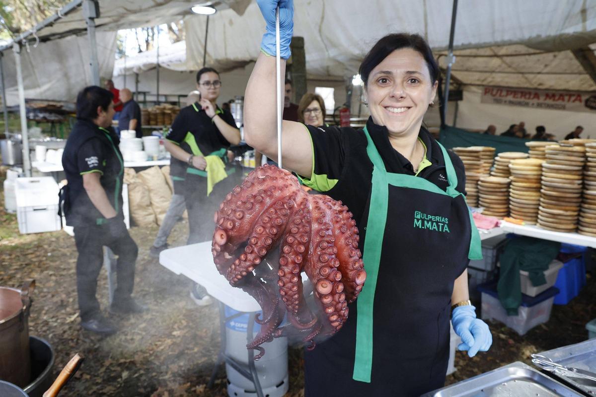 Así foi a feira cabalar do San Martiño de Francos, en imaxes