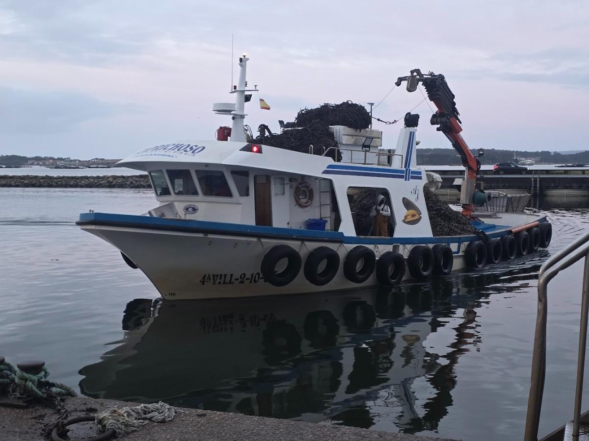 Descargas de mejillón en el muelle de Vilanova de Arousa, esta mañana.