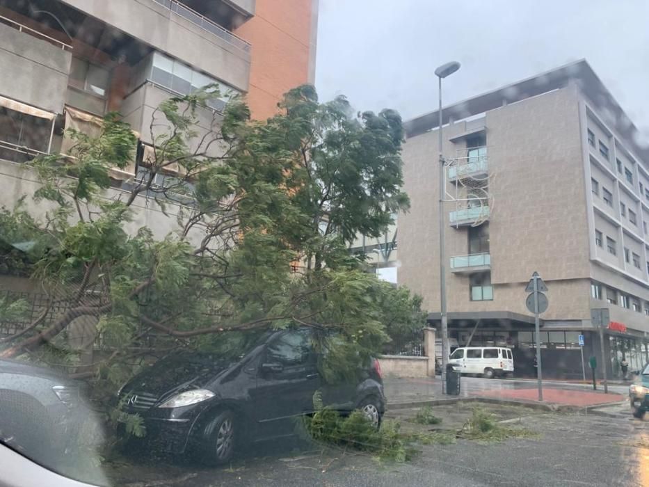 Lluvia en Málaga con la llegada de la borrasca Filomena.