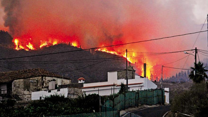 El incendio de Tenerife afecta ya a 1.200 hectáreas