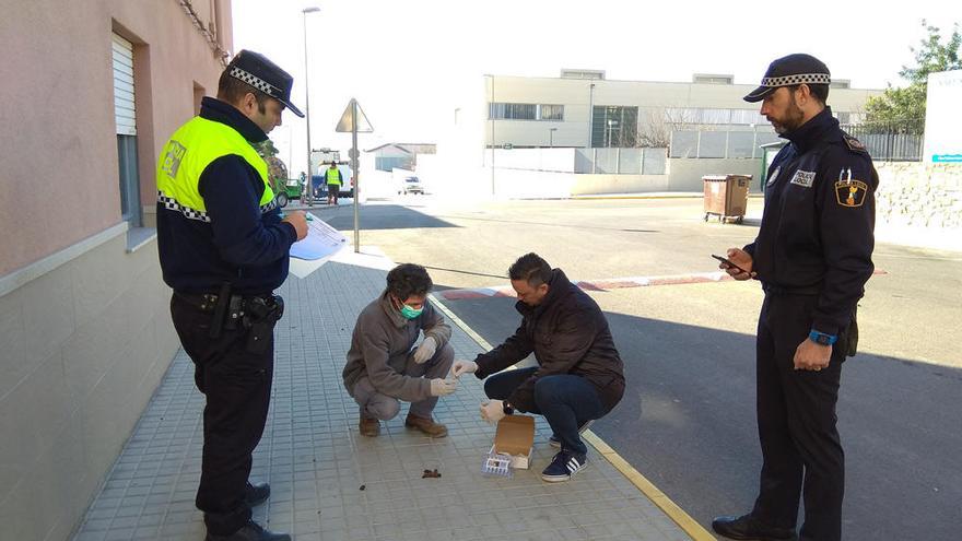 Aielo comença a analitzar l&#039;ADN dels excrements de gossos amb sancions de fins 300 euros