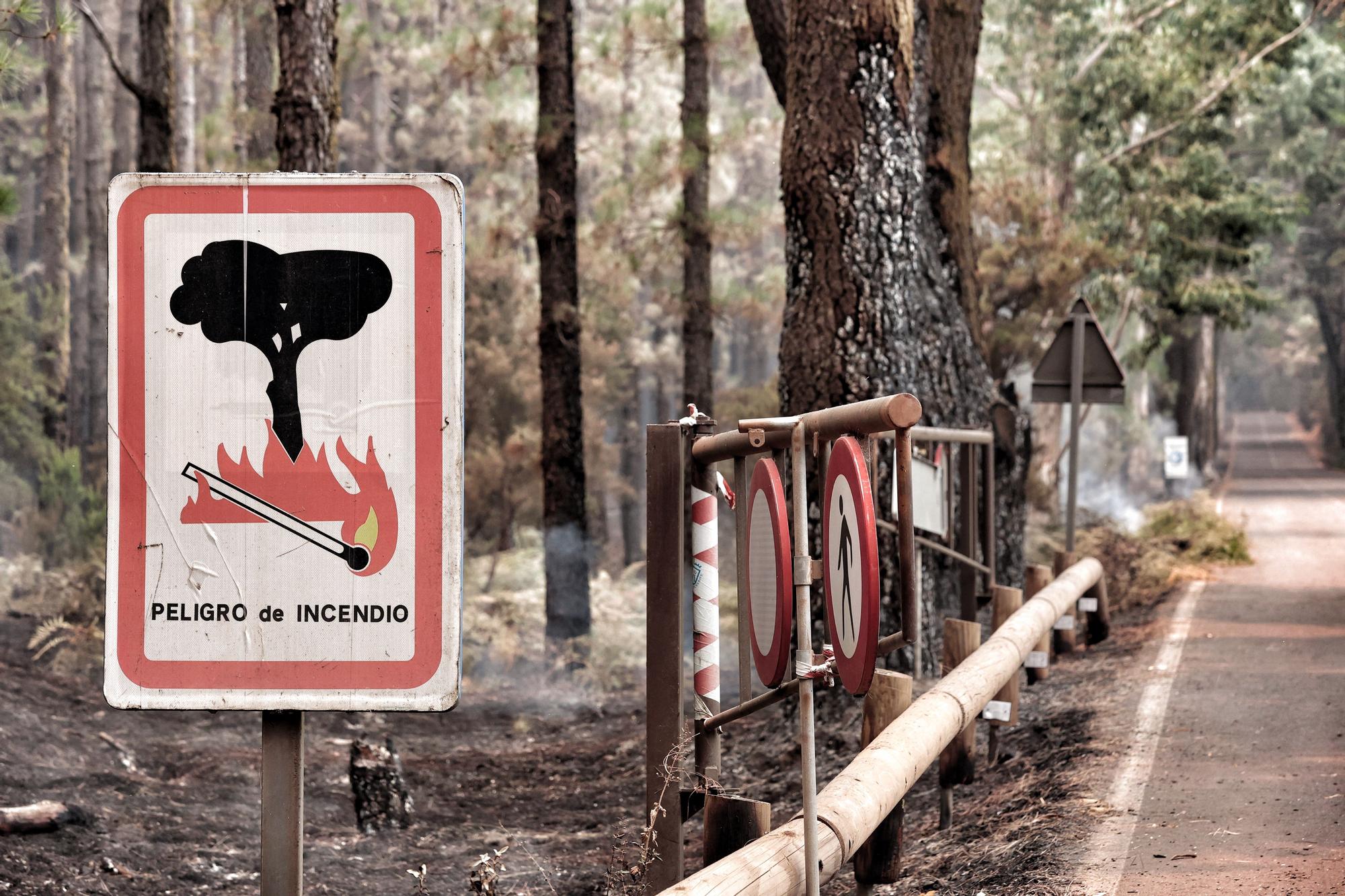 Evolución del incendio en Tenerife