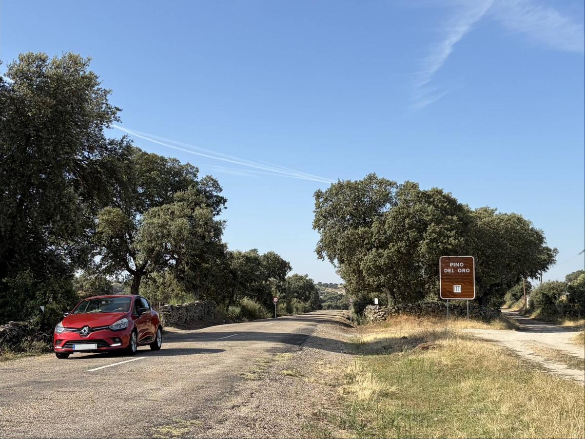 Carretera en los acceso a Pino