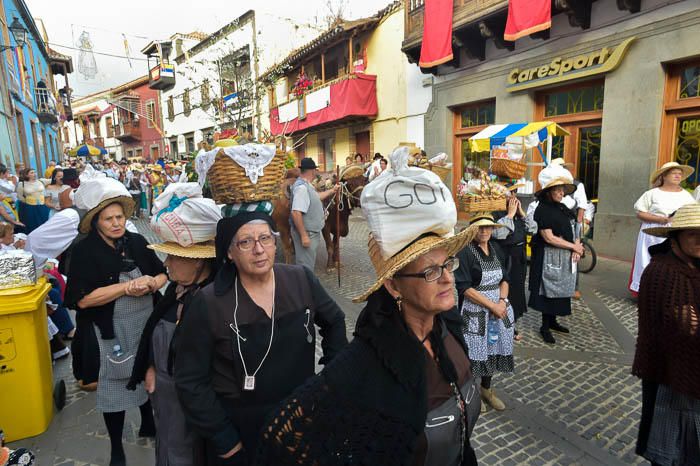 Carretas y grupos en la romería del Pino