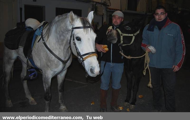 GALERÍA FOTOS - La provincia celebra Sant Antoni