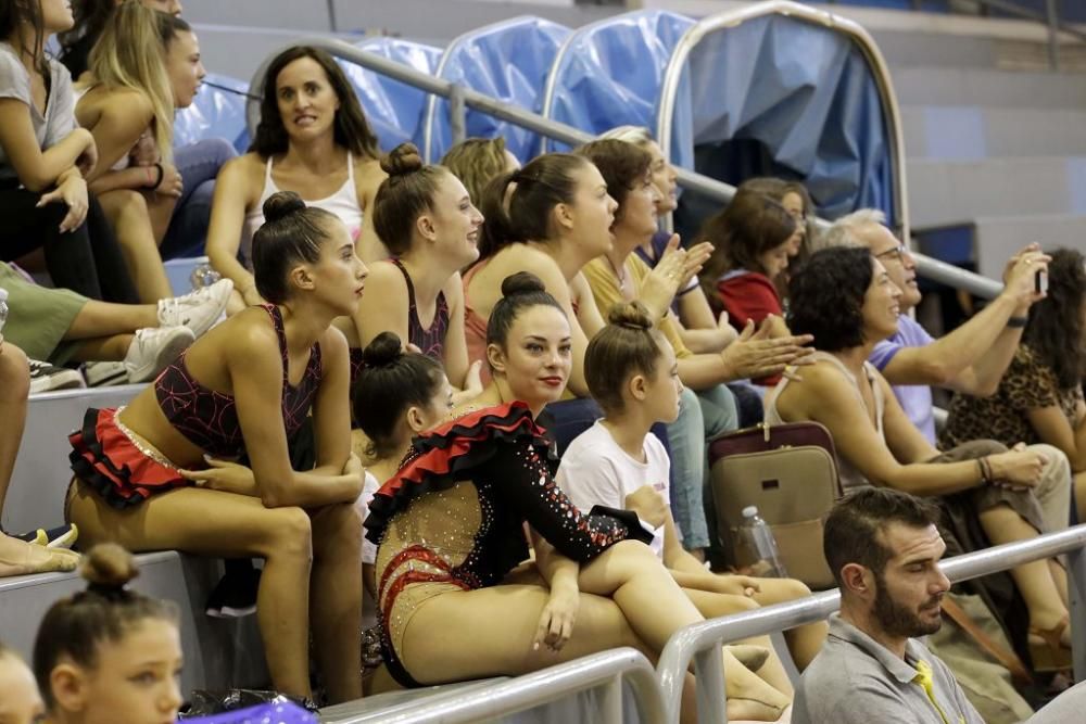 Campeonato regional de gimnasia rítmica