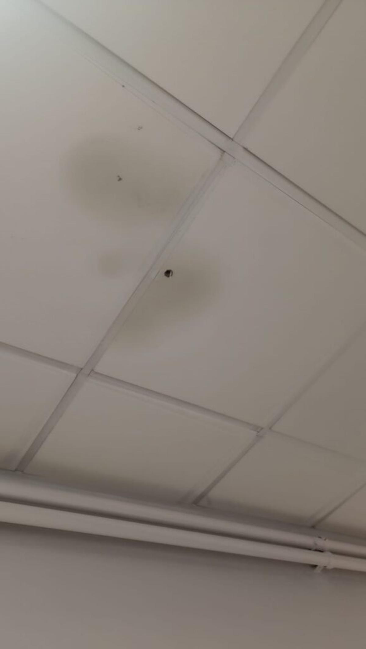 Falsos teitos deteriorados polas goteiras e humidades.