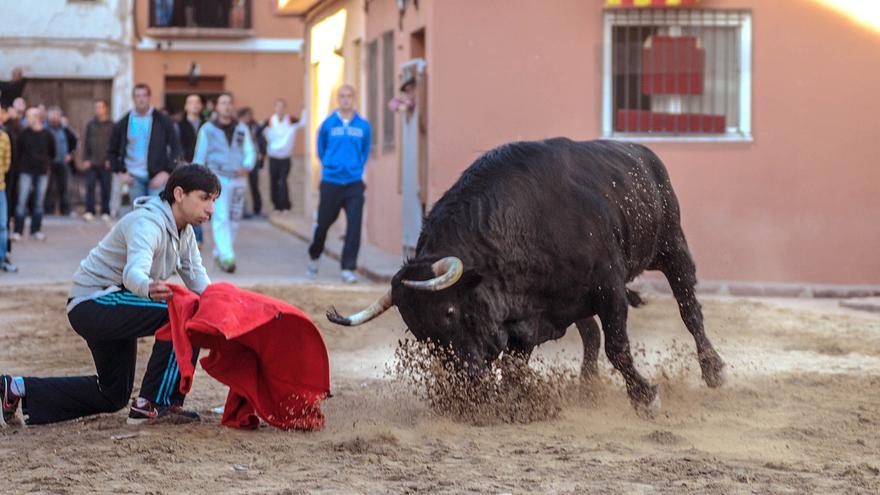 Benavites se prepara para las fiestas de Sant Pau