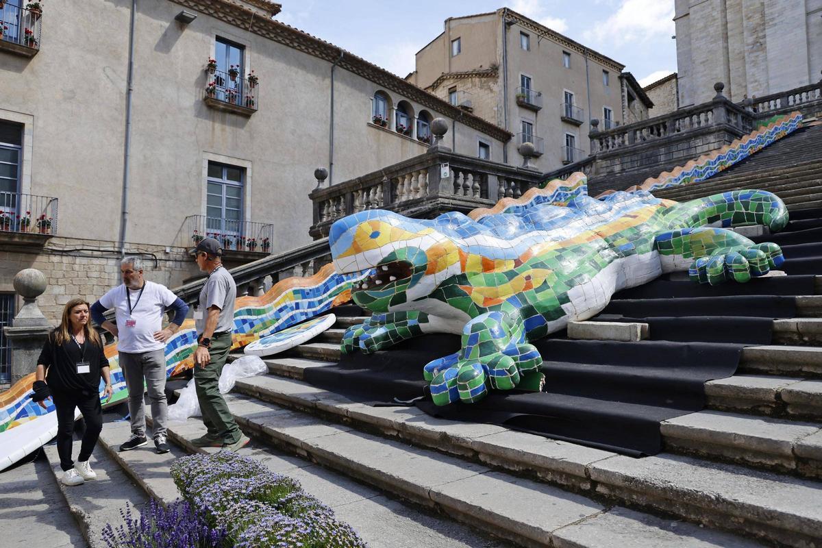 Les imatges dels preparatius de Temps de Flors Les imatges dels preparatius de Temps de Flors