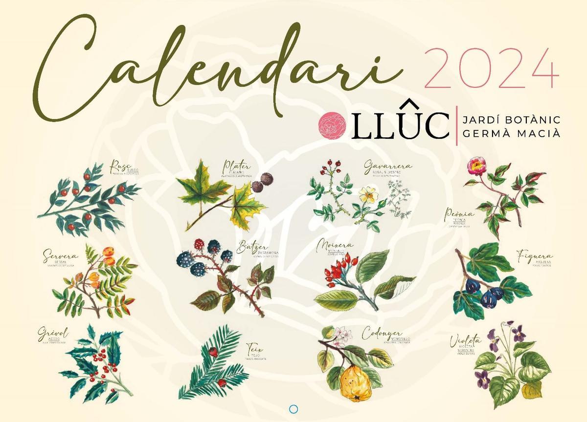 Der Klostergarten von Lluc beherbergt mehr als 300 Pflanzenarten. Zwölf davon sind in diesem Kalender zu sehen.