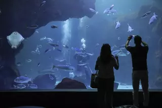 Visitamos el BIOPARC Acuario de Gijón