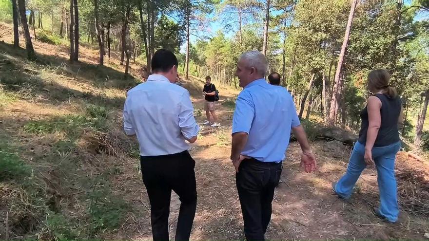 El conseller Ordeig visita un bosc on s'ha fet gestió forestal a Cardona, després d'un altre on no s'ha fet