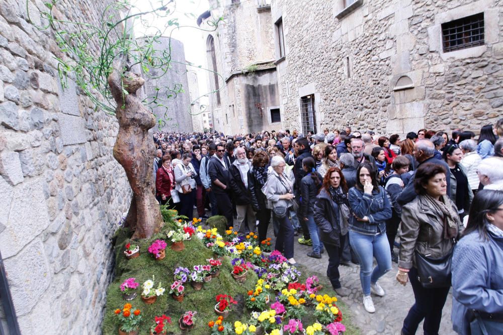 Girona floreix amb «Temps de Flors»