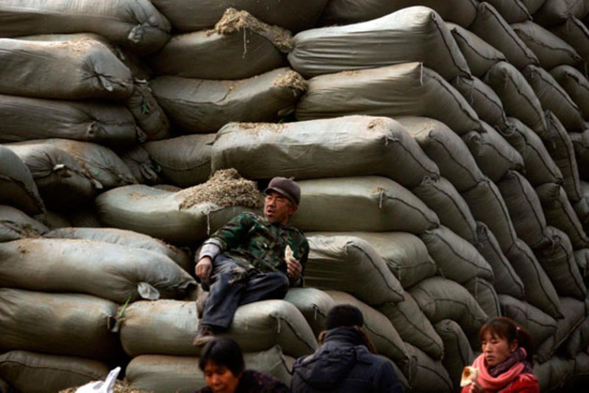 Un camioner descansa sobre un munt de sacs en un mercat de Pequín (Xina).