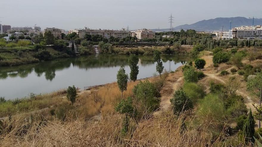 En la foto, la preciosa laguna de la Colonia de Santa Inés desde el farallón, en cuya cima se han plantado ficus, probablemente para que puedan agarrar bien esta zona del parque.