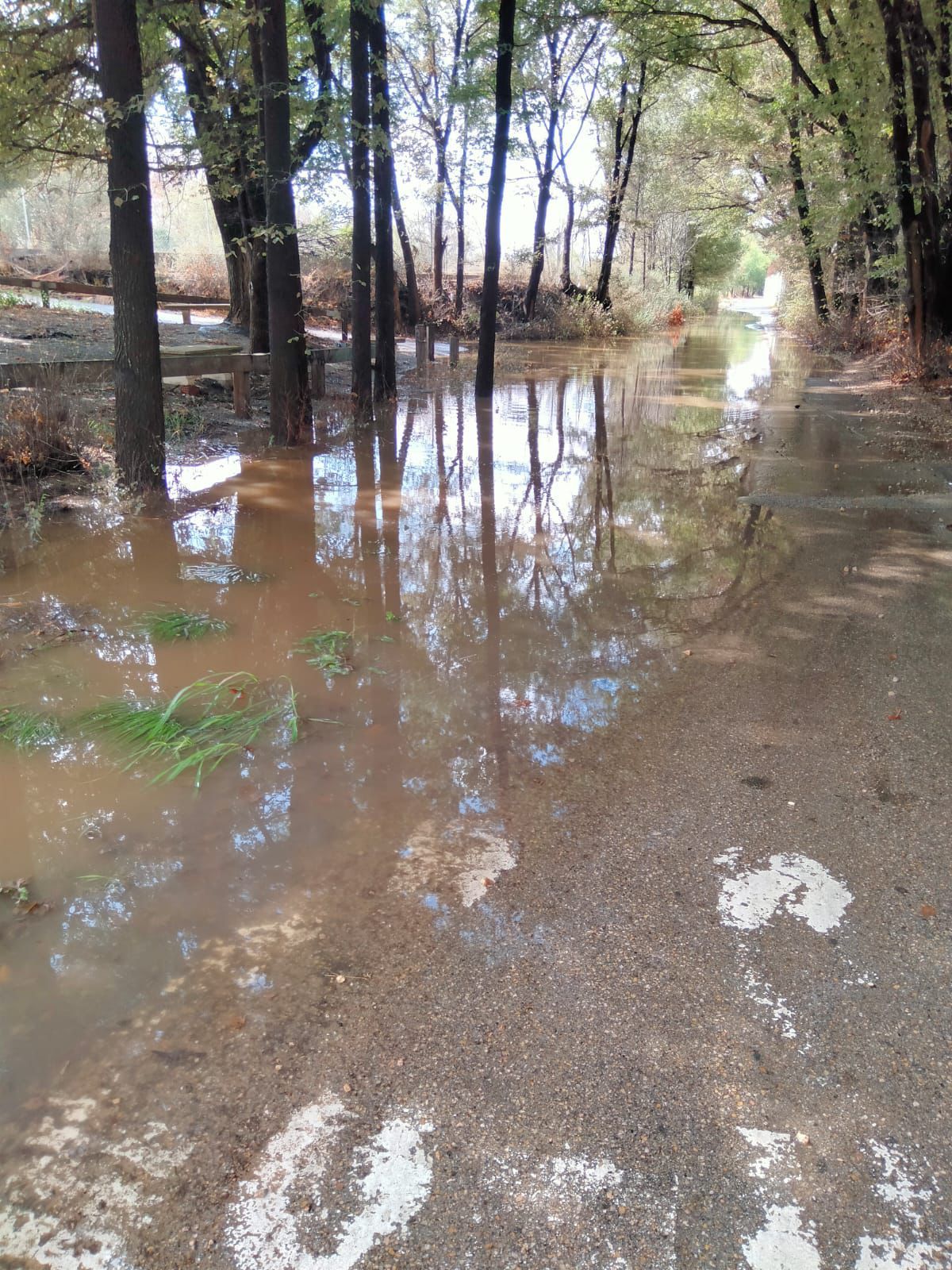 WhatsApp Image 2025-09-30 at 21.34.19 (1).jpeg