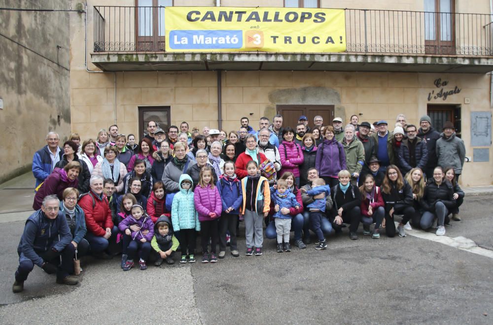 Participants del Passeig Solidari pel pla de Cantallops per La Marató de TV3