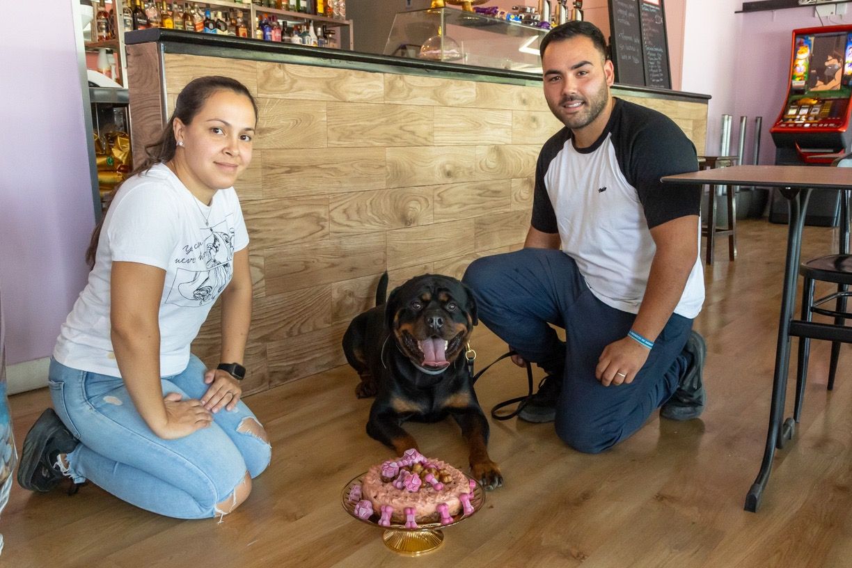 GALERÍA | El bar de Mérida que tiene pinchos para los perros