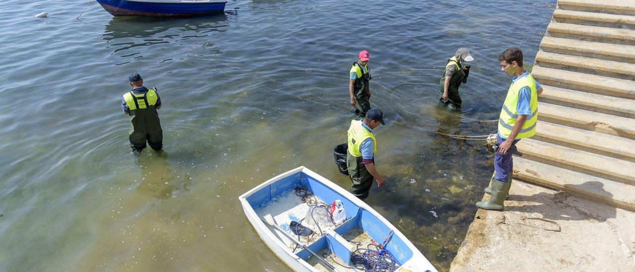 El Mar Menor vuelve a expulsar peces muertos a las puertas del verano