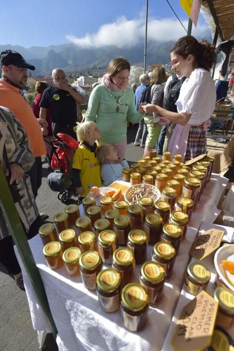 Día del turista en la "Ruta del almendrero en ...