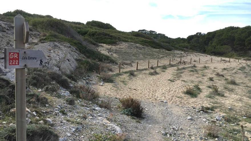 Terminan las mejoras en el sistema dunar  de Cala Mitjana