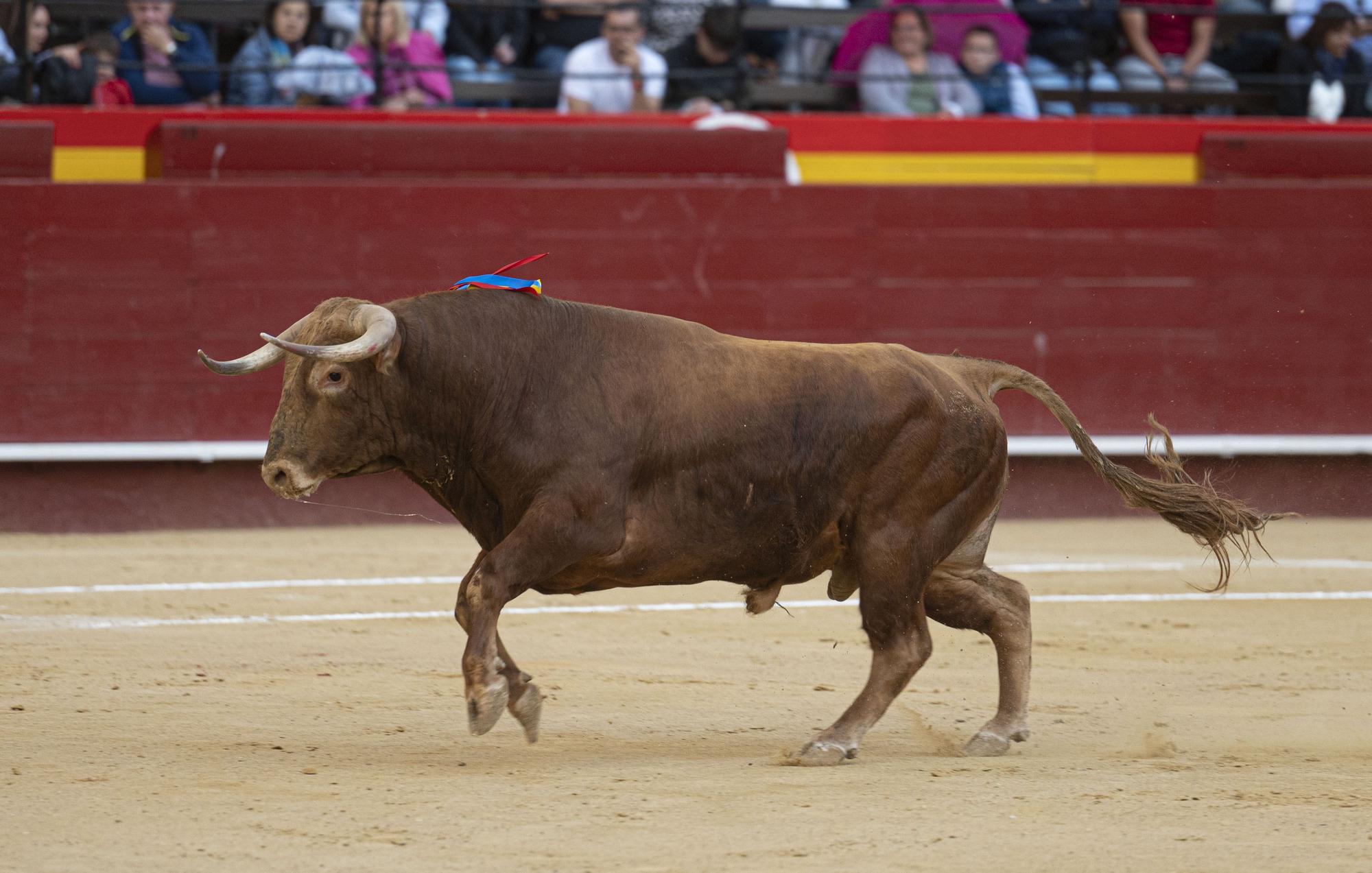 La puerta grande de Nek Romero en València, en imágenes