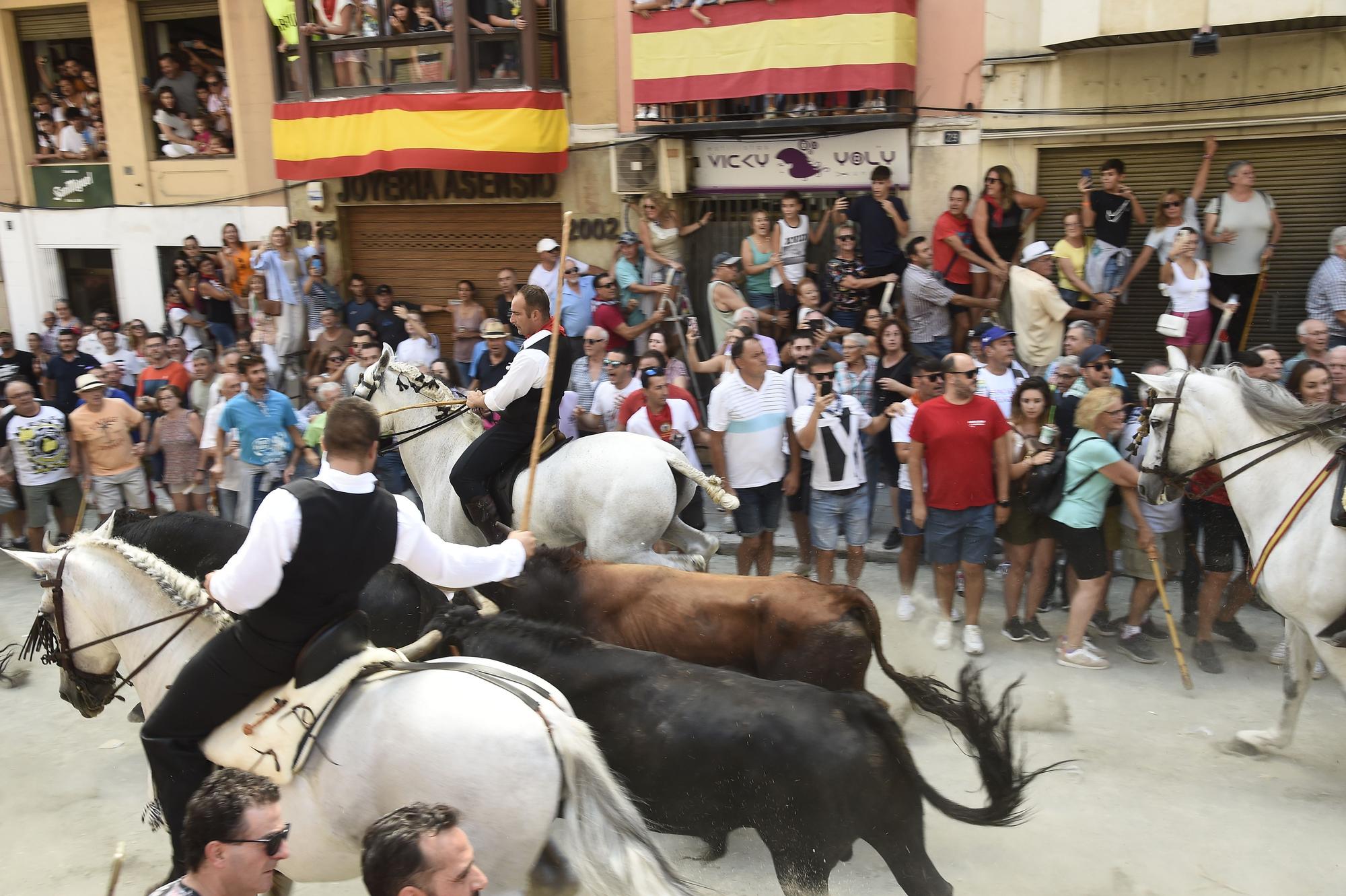 Las mejores fotos de la primera Entrada de Toros y Caballos de Segorbe tras la pandemia