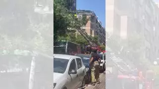 Un autobús urbano choca contra un árbol en Zaragoza