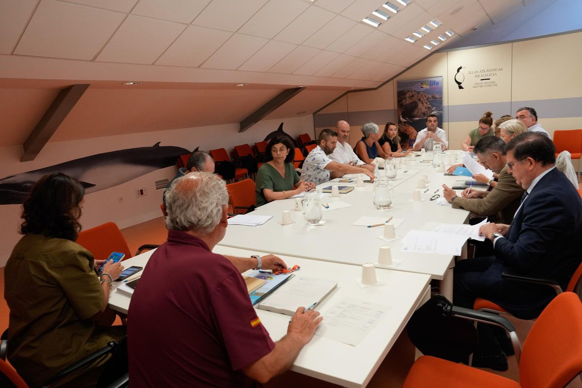 Un momento de la reunión de la Mesa por Ons celebrada ayer en Vigo.