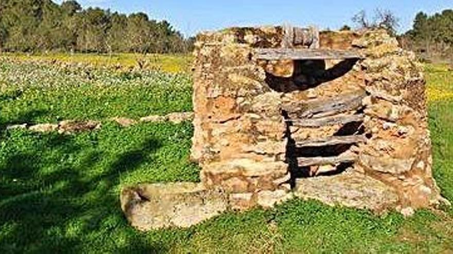 El pozo, rodeado de un mar de hierba.