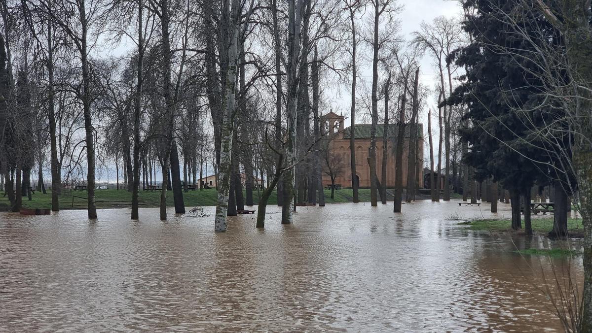 GALERÍA | La crecida del río Duero anega algunas zonas de Toro