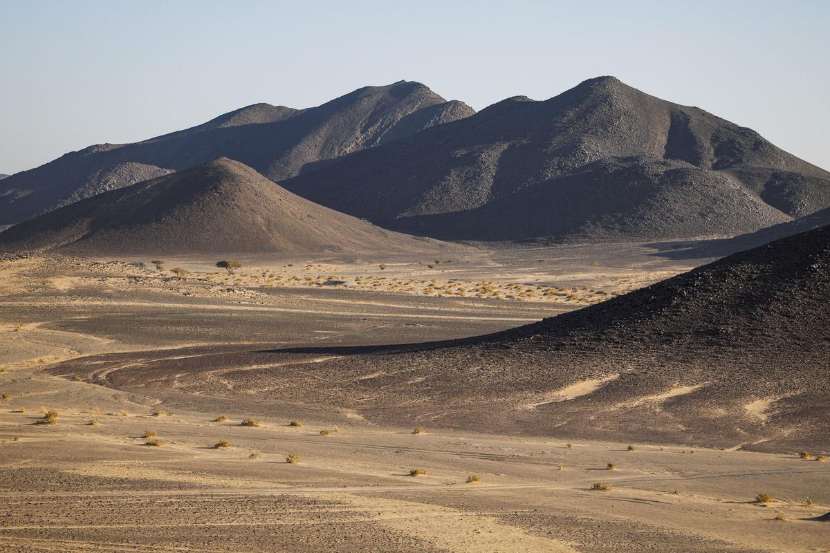 Etapa 9 del Rally Dakar 2026, en imágenes