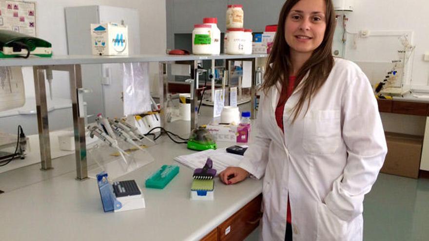 Una investigadora gallega detecta que la hoja de repollo es un potente antioxidante