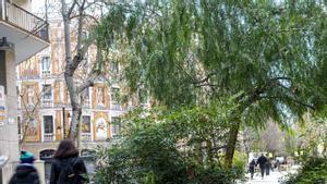 Cerdà ja va insistir en la necessitat de verd