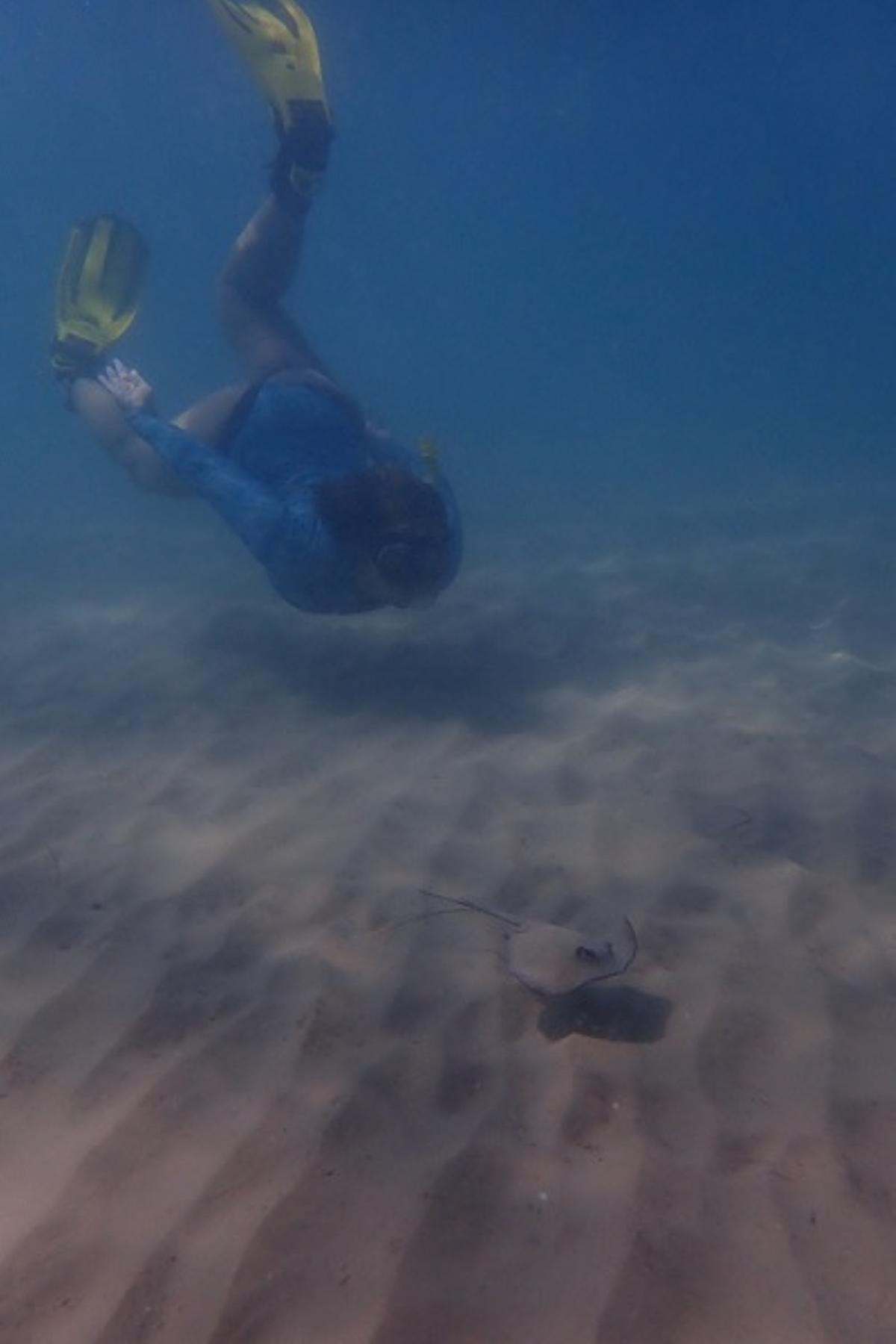 Una de las rayas encontradas en la playa de San Juan de Alicante