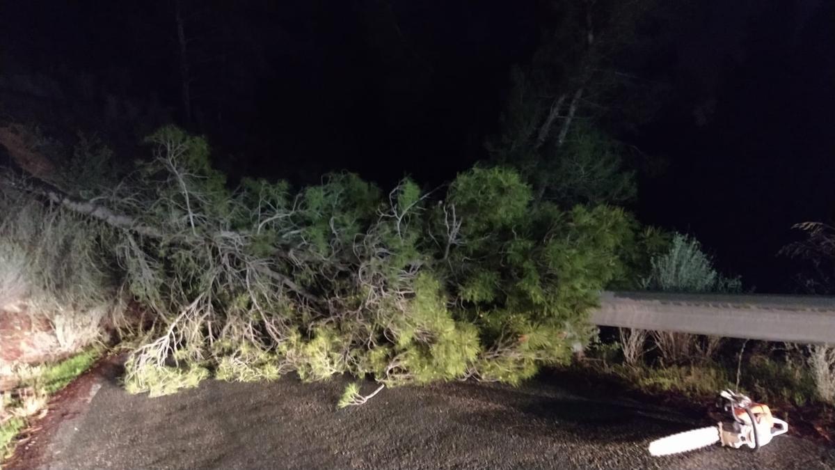 Árbol que caía en la carretera que conduce a Campo López cortándola al tráfico.