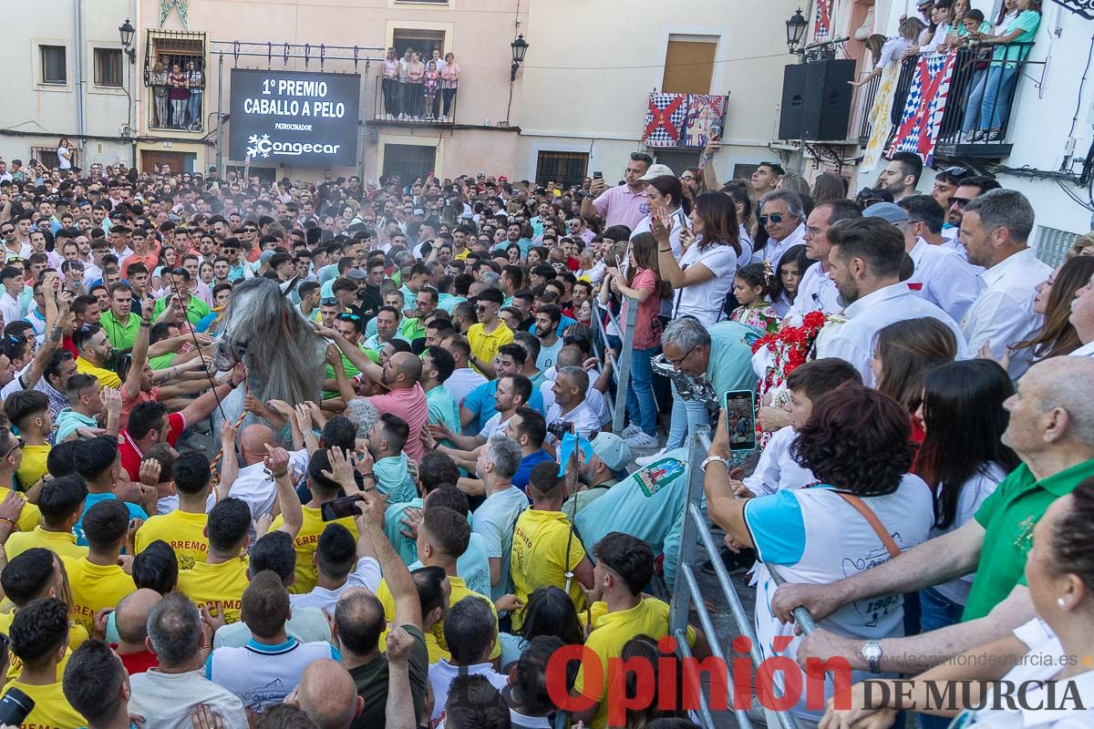 Entrega de premios del concurso morfológico de los Caballos del Vino de Caravaca