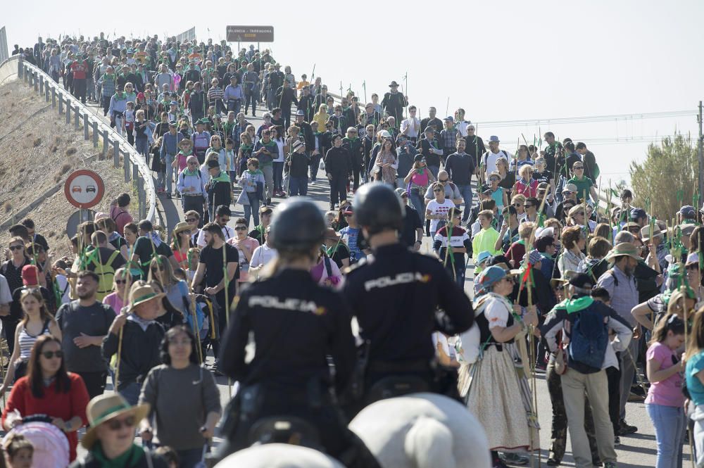 Magdalena 2019: Romeria de les canyes