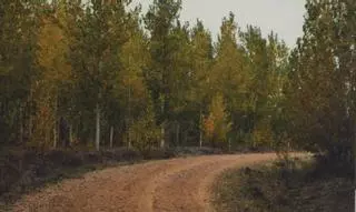 El decreto de ordenación forestal de Castilla y León, a información pública